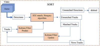 Violence region localization in video and the school violent actions classification